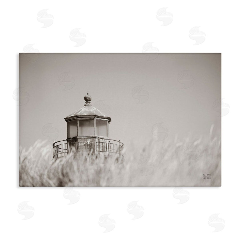 Nathan Larson | Swaying Reeds and Lighthouse