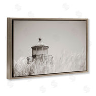 Nathan Larson | Swaying Reeds and Lighthouse