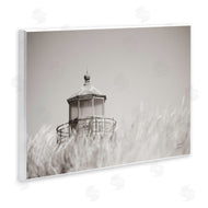 Nathan Larson | Swaying Reeds and Lighthouse