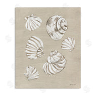Yvette St. Amant | Beach Shell Treasures