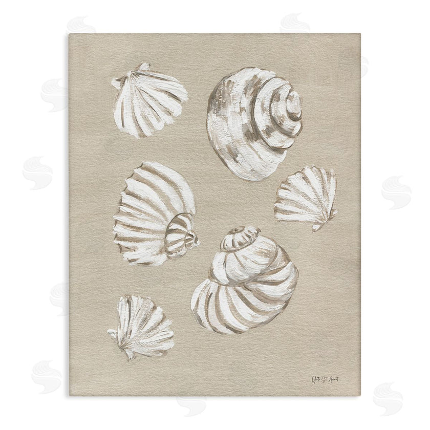 Yvette St. Amant | Beach Shell Treasures