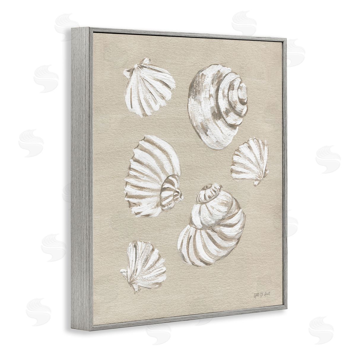 Beach Shell Treasures Grey Frame Print Wall Art, Home Decor by Yvette St. Amant
