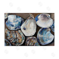 Jeanette Vertentes | Varied Seashell Shucks