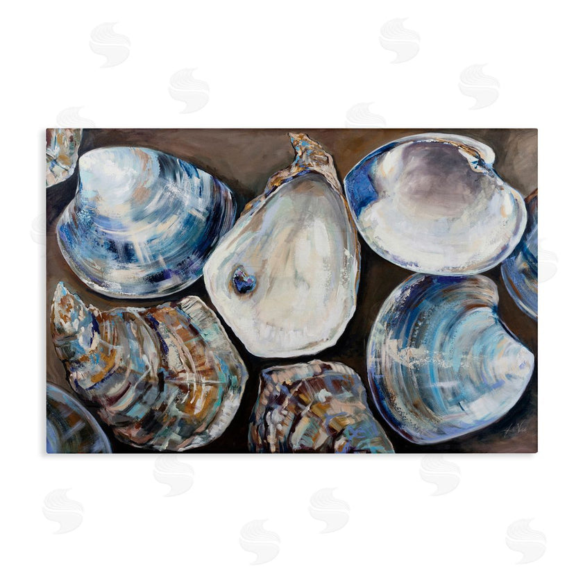 Jeanette Vertentes | Varied Seashell Shucks