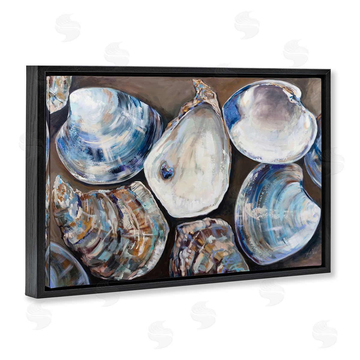 Varied Seashell Shucks Black Floating Frame Canvas Wall Art, Home Decor by Jeanette Vertentes