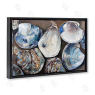 Jeanette Vertentes | Varied Seashell Shucks