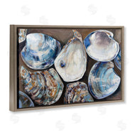 Jeanette Vertentes | Varied Seashell Shucks