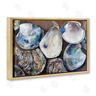Jeanette Vertentes | Varied Seashell Shucks