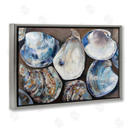 Jeanette Vertentes | Varied Seashell Shucks