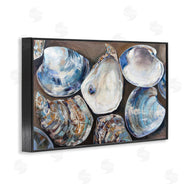 Jeanette Vertentes | Varied Seashell Shucks