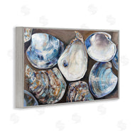 Jeanette Vertentes | Varied Seashell Shucks