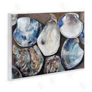 Jeanette Vertentes | Varied Seashell Shucks