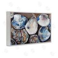 Jeanette Vertentes | Varied Seashell Shucks