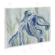 Danhui Nai | Deep Dweller Octopus