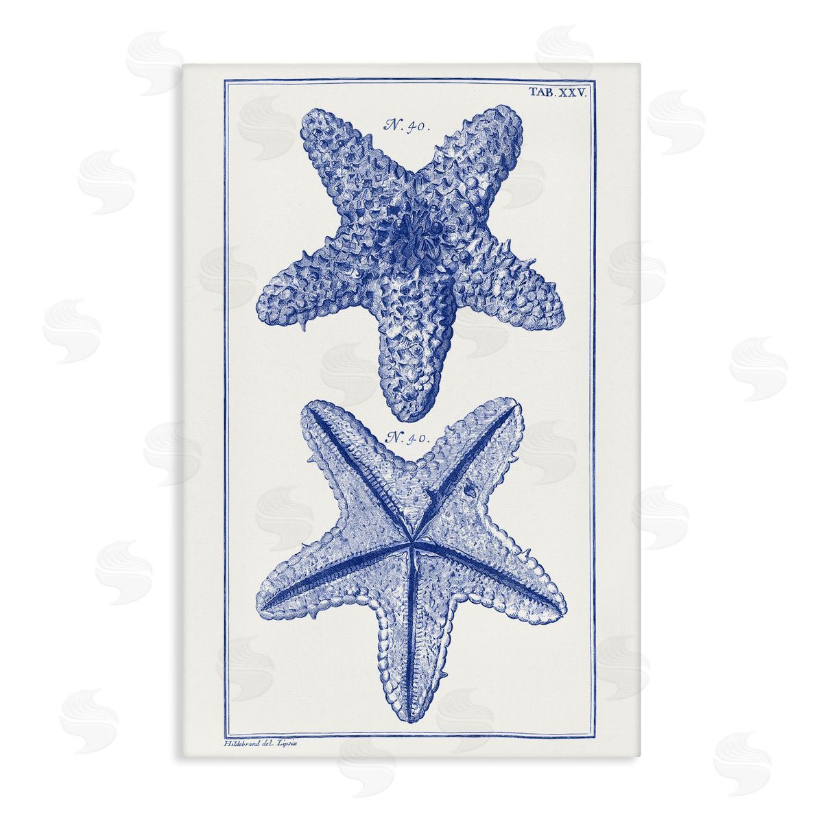 Blue Starfish Studies Canvas Wall Art, Home Decor by Vision Studio