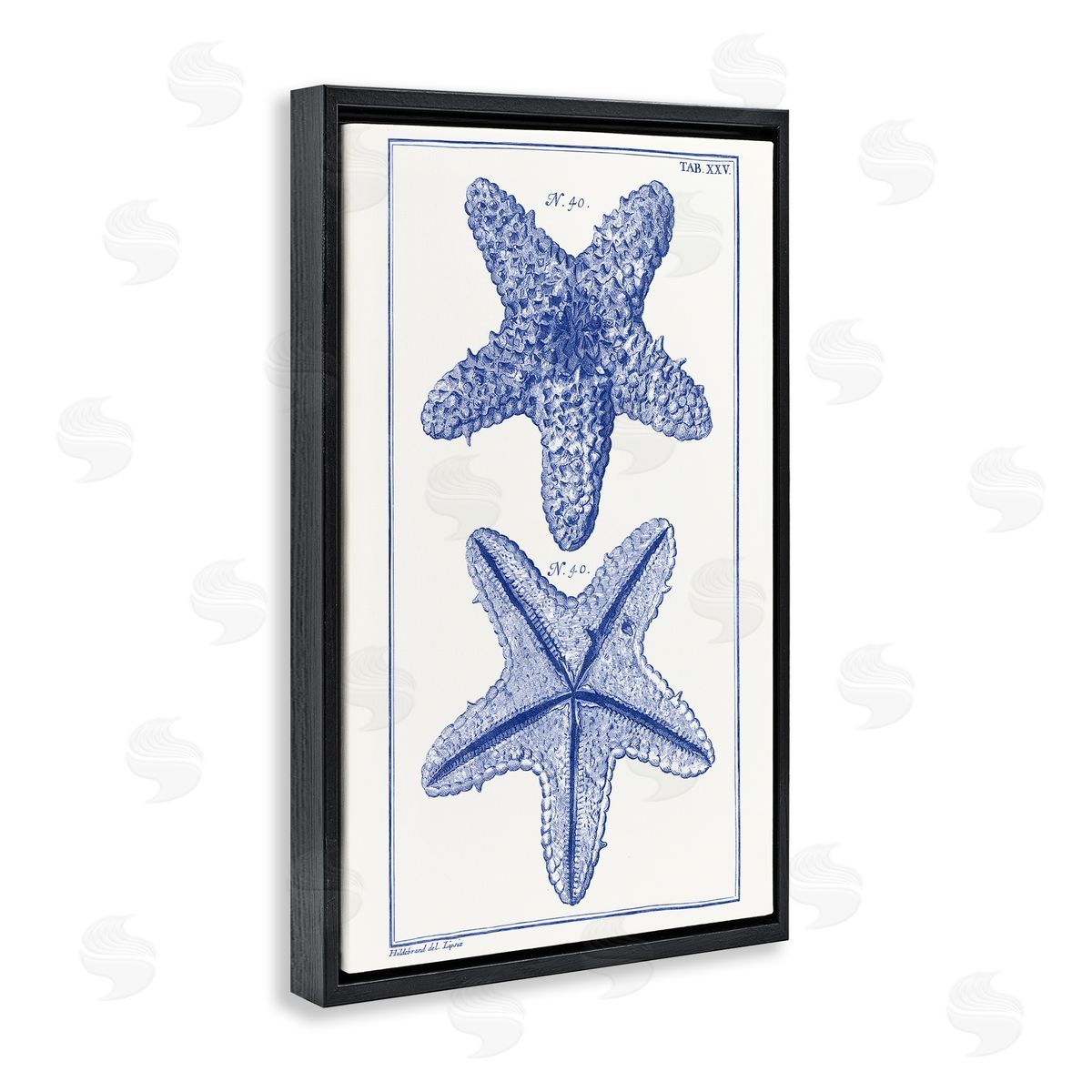 Blue Starfish Studies Black Floating Frame Canvas Wall Art, Home Decor by Vision Studio