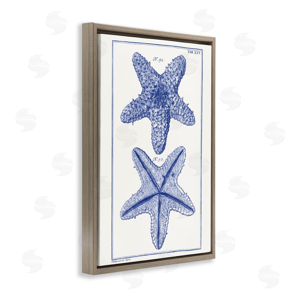 Blue Starfish Studies Brown Floating Frame Canvas Wall Art, Home Decor by Vision Studio
