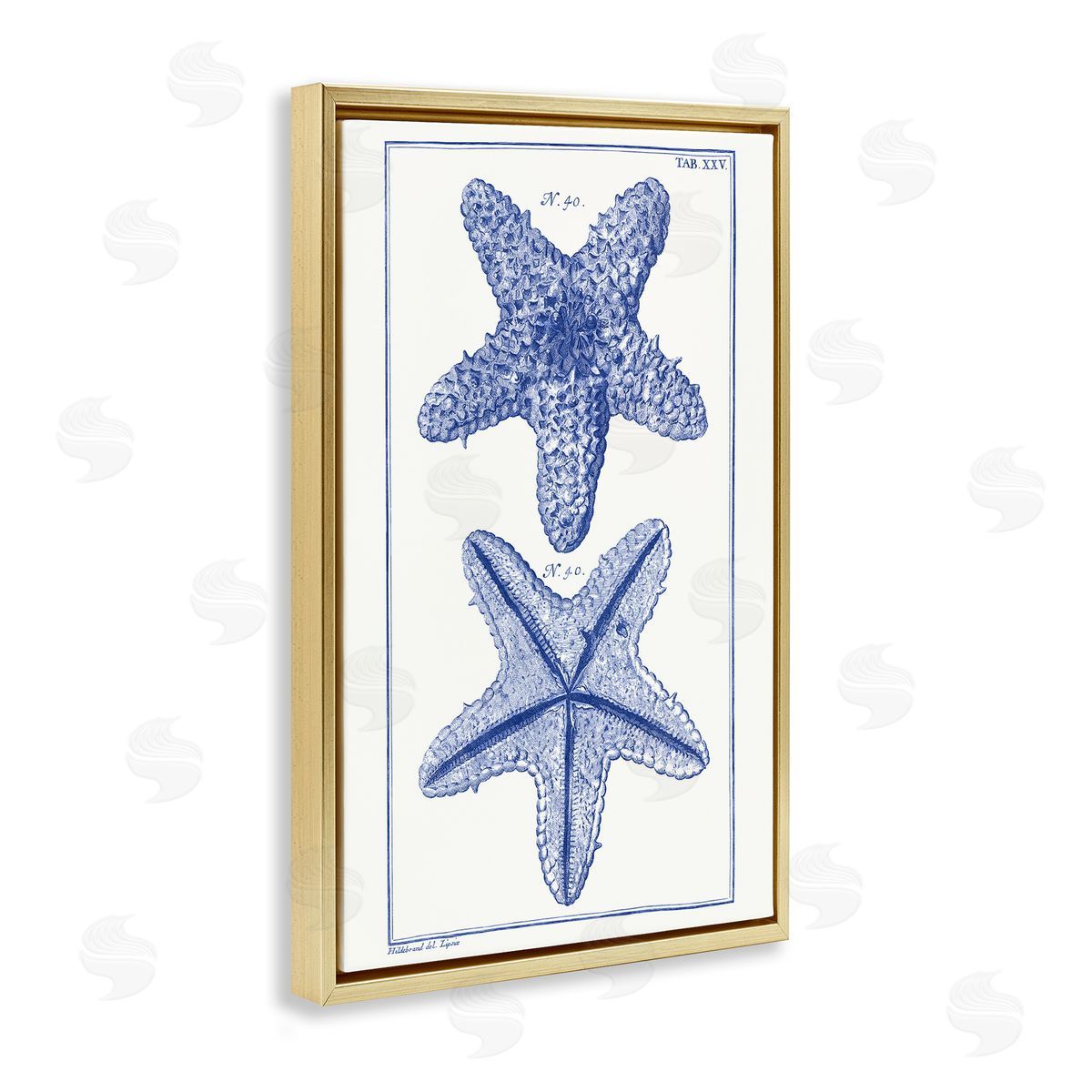 Blue Starfish Studies Gold Floating Frame Canvas Wall Art, Home Decor by Vision Studio