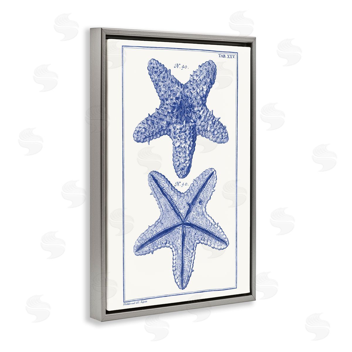 Blue Starfish Studies Grey Floating Frame Canvas Wall Art, Home Decor by Vision Studio