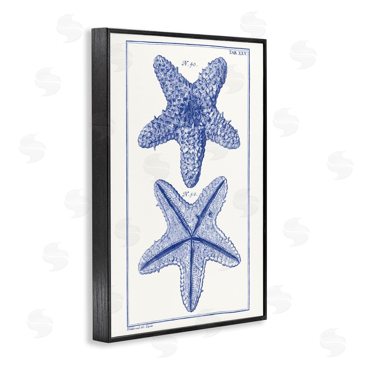 Blue Starfish Studies Black Frame Print Wall Art, Home Decor by Vision Studio