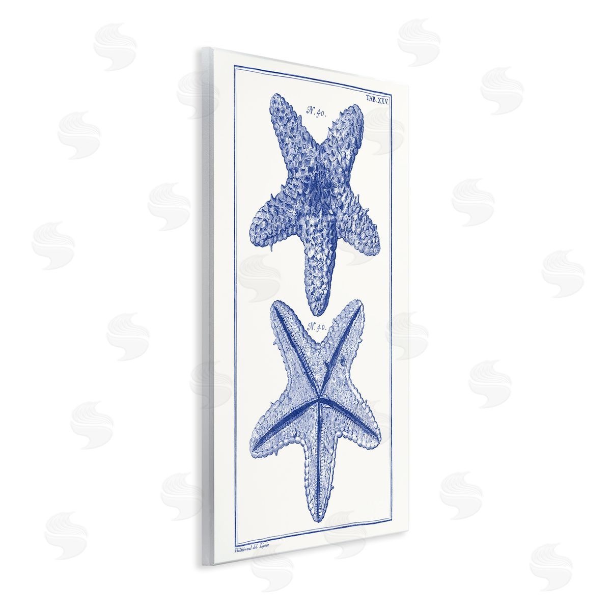 Blue Starfish Studies Wood Plaque Wall Art, Home Decor by Vision Studio