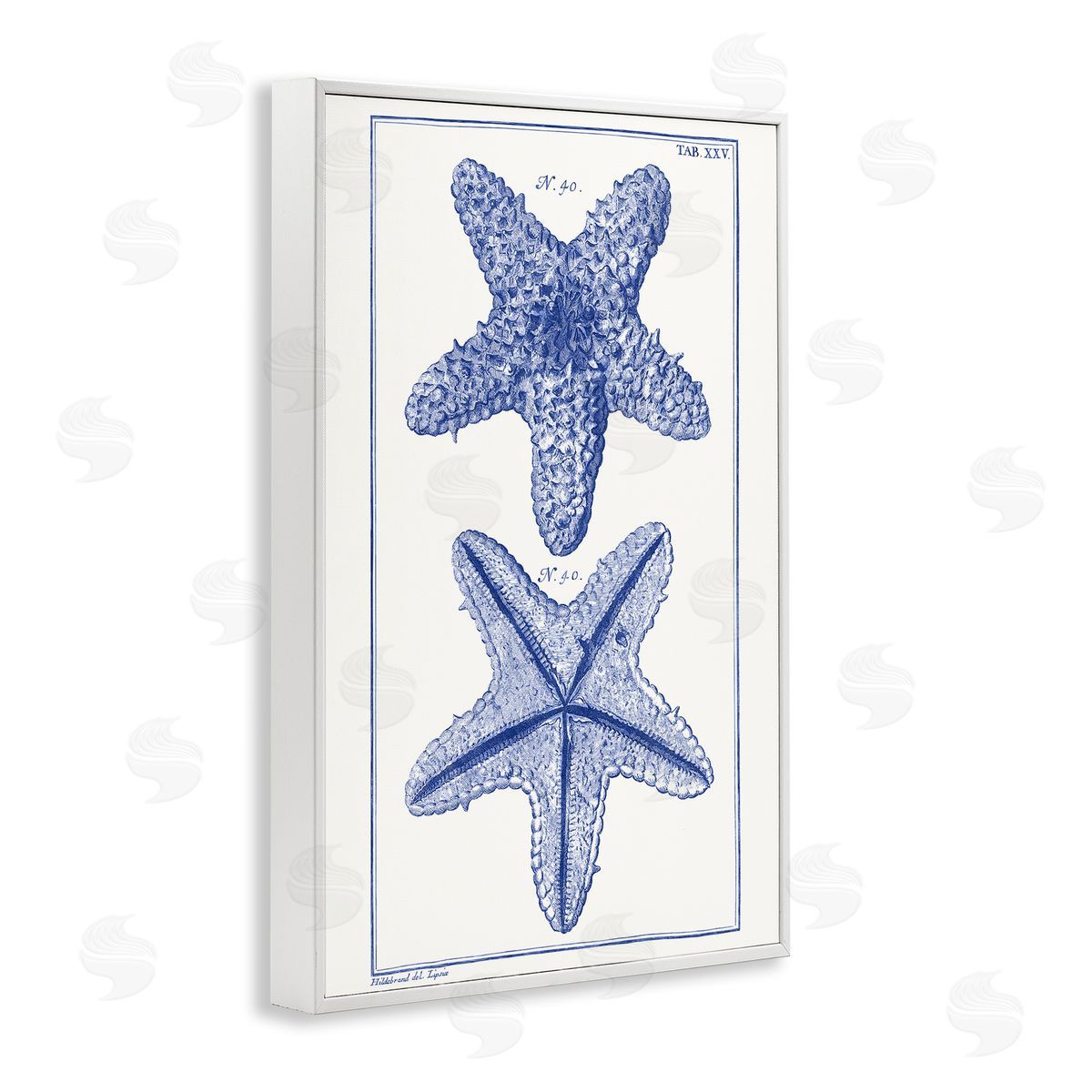 Blue Starfish Studies White Frame Print Wall Art, Home Decor by Vision Studio