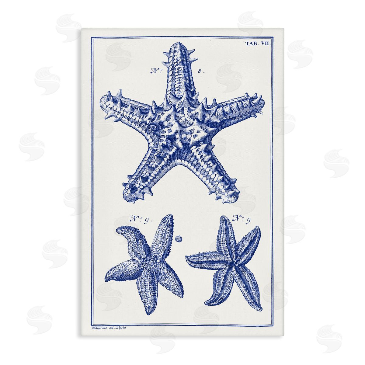 Blue Starfish Diagrams Canvas Wall Art, Home Decor by Vision Studio