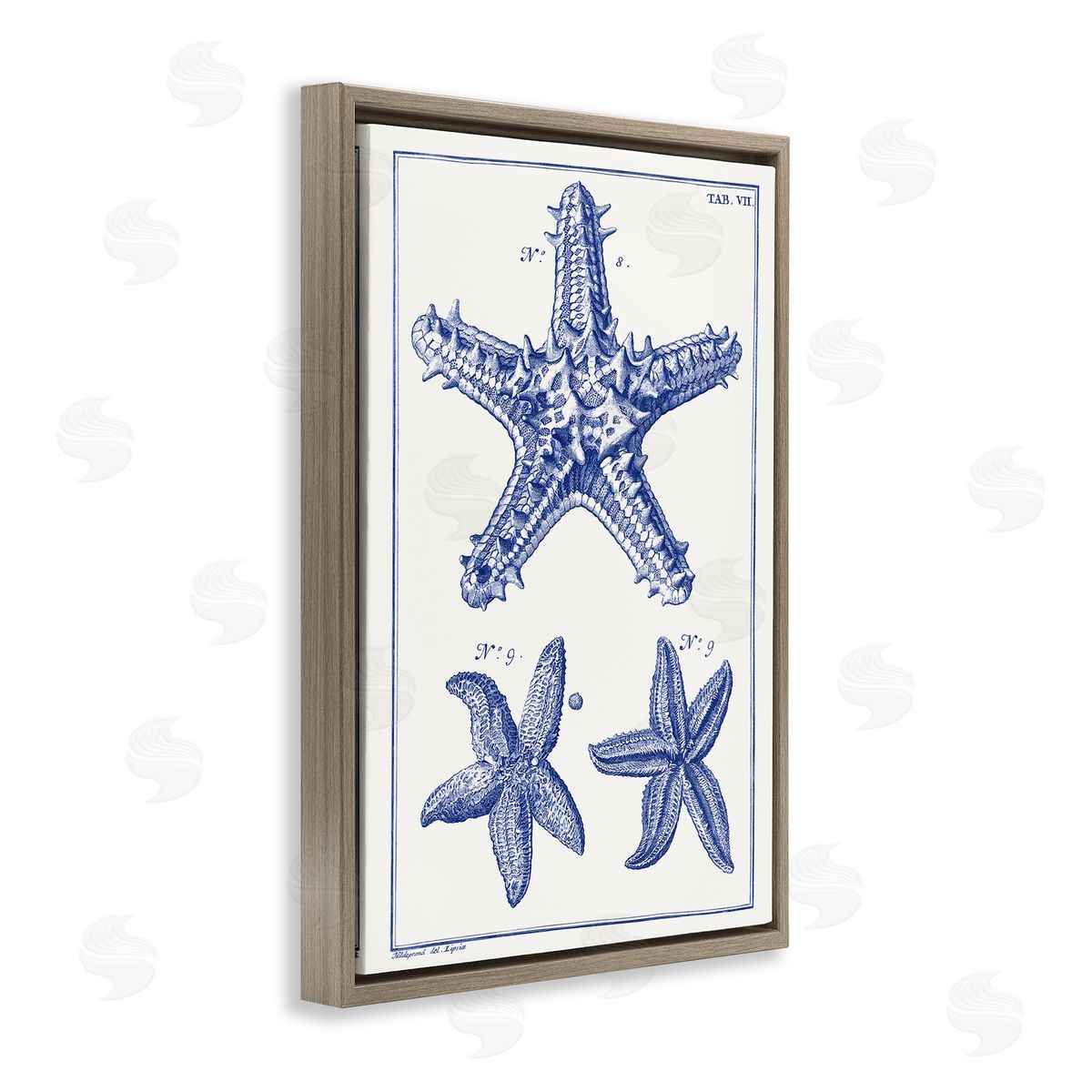 Blue Starfish Diagrams Brown Floating Frame Canvas Wall Art, Home Decor by Vision Studio