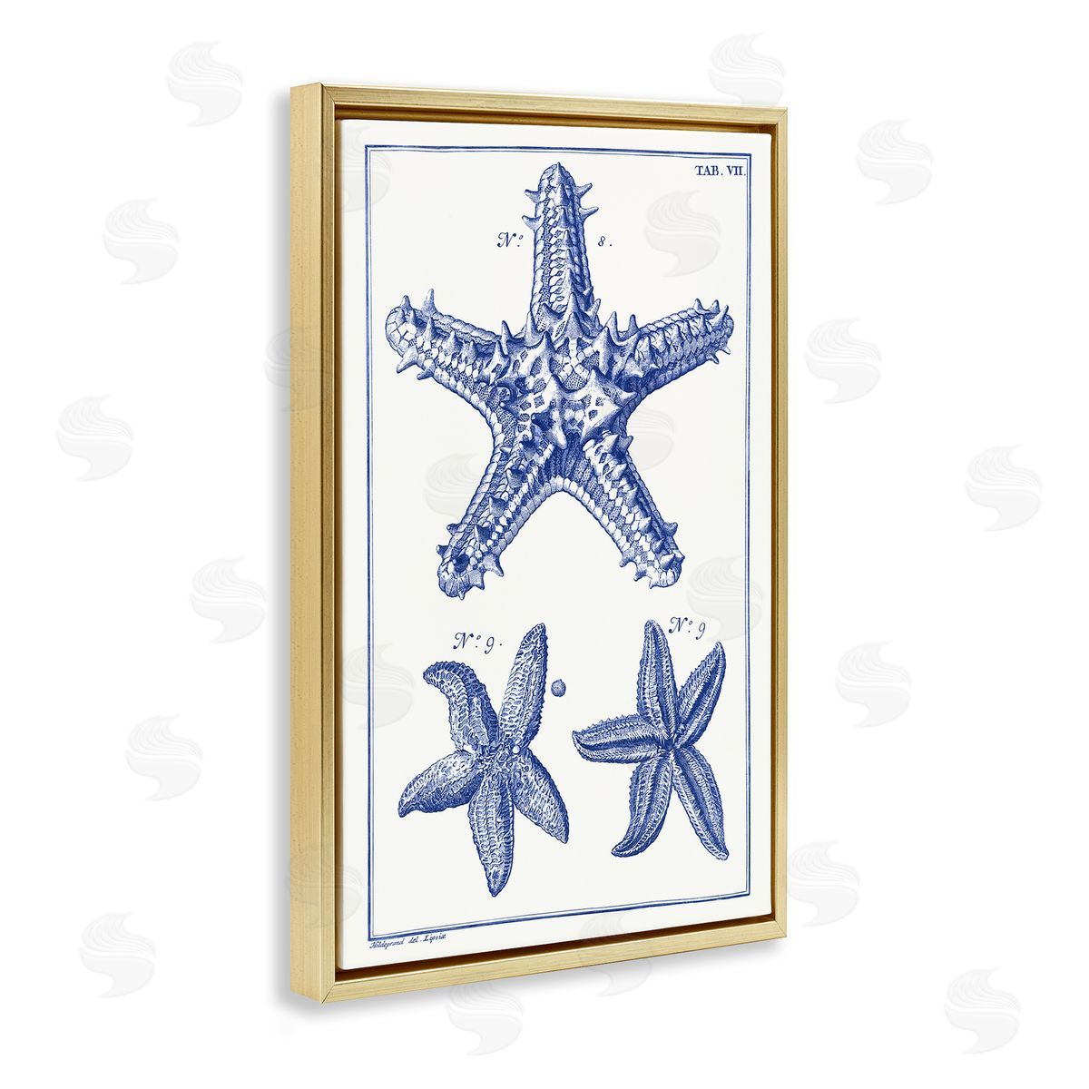Blue Starfish Diagrams Gold Floating Frame Canvas Wall Art, Home Decor by Vision Studio
