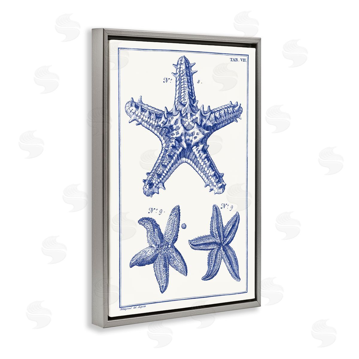Blue Starfish Diagrams Grey Floating Frame Canvas Wall Art, Home Decor by Vision Studio