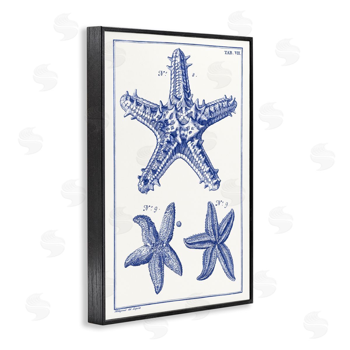 Blue Starfish Diagrams Black Frame Print Wall Art, Home Decor by Vision Studio