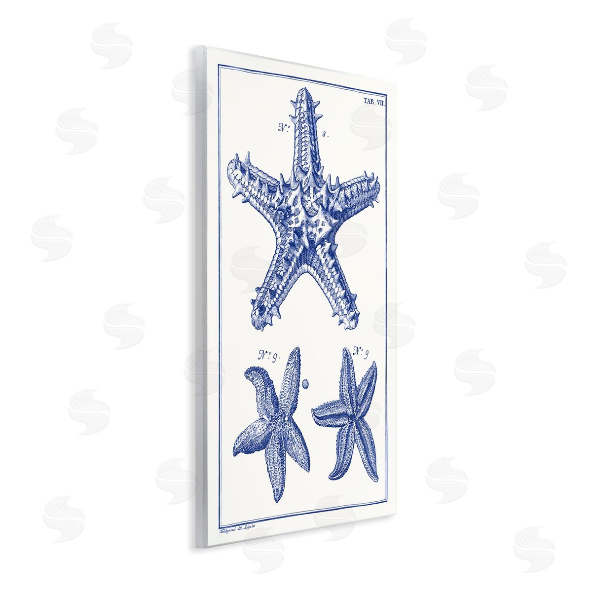 Blue Starfish Diagrams Wood Plaque Wall Art, Home Decor by Vision Studio