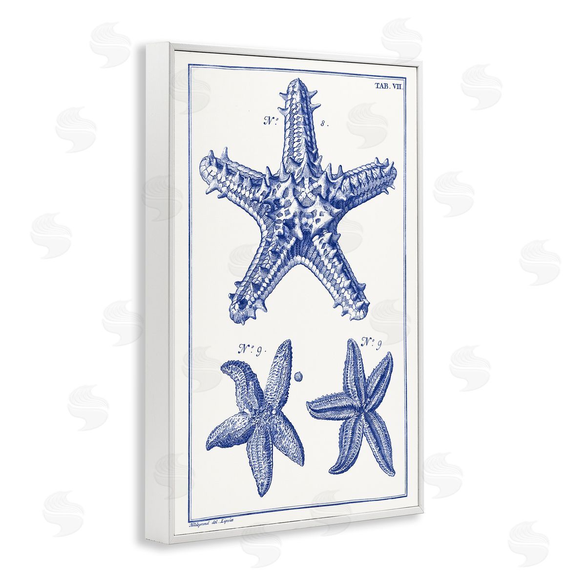 Blue Starfish Diagrams White Frame Print Wall Art, Home Decor by Vision Studio