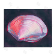 Grace Popp | Pink Clam on Black