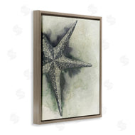 Grace Popp | Complex Grey Starfish