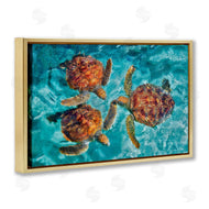 Dennis Frates | Swimming Tortoise Trio