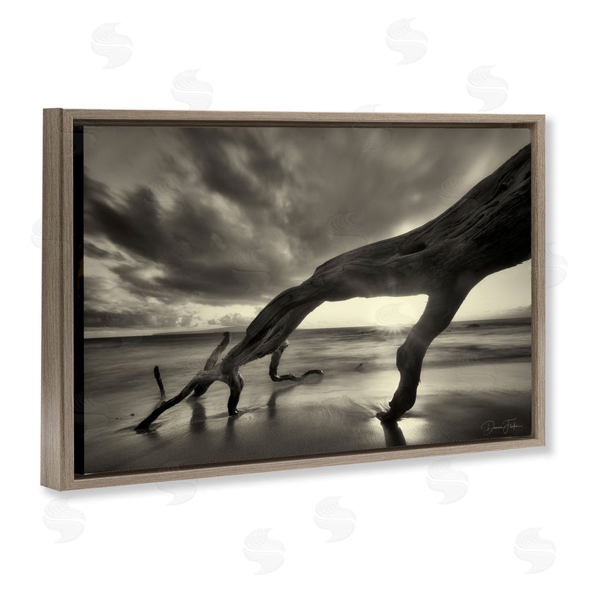 Dennis Frates | Tree Trunk on Shore