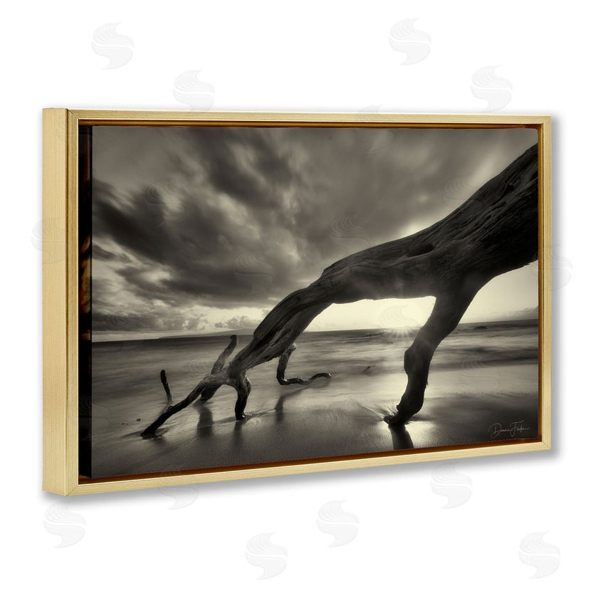 Dennis Frates | Tree Trunk on Shore