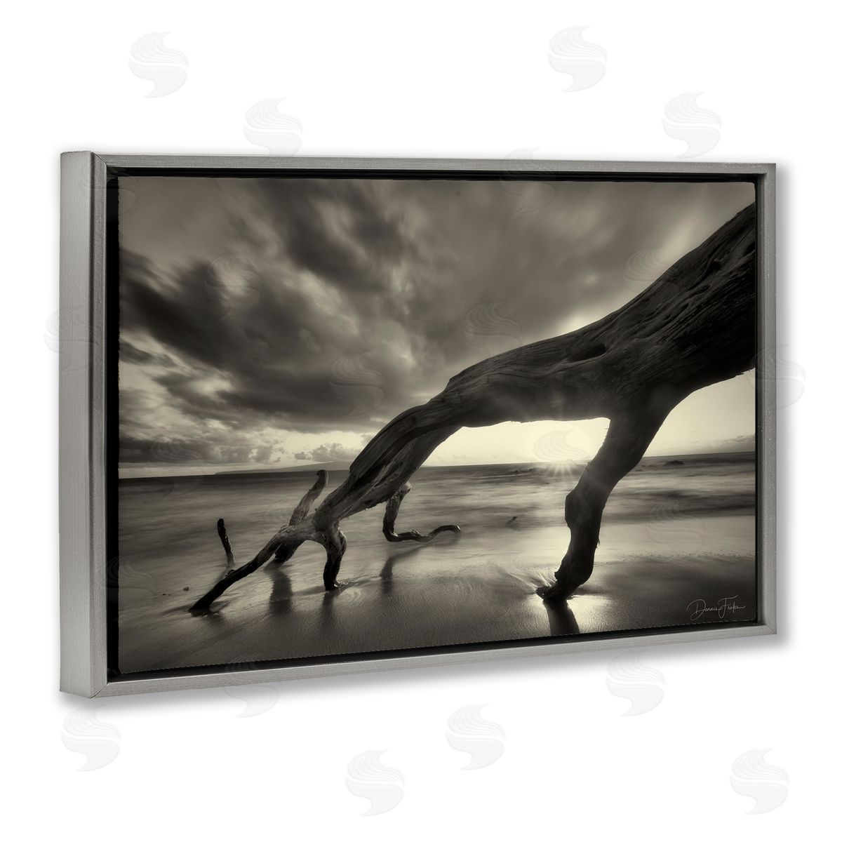 Tree Trunk on Shore Grey Floating Frame Canvas Wall Art, Home Decor by Dennis Frates