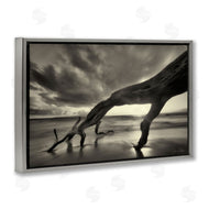 Dennis Frates | Tree Trunk on Shore
