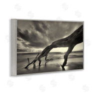 Dennis Frates | Tree Trunk on Shore
