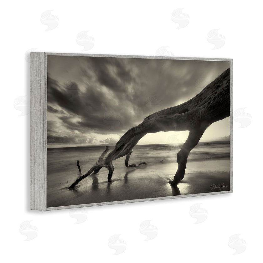Dennis Frates | Tree Trunk on Shore