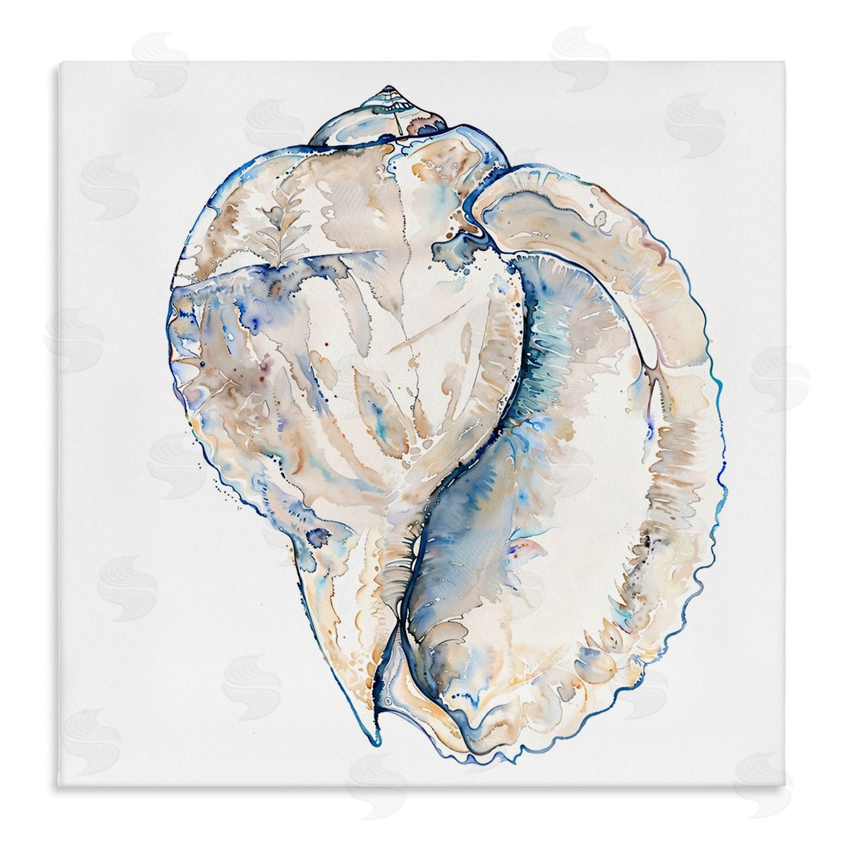 Conch Shell on White Canvas Wall Art, Home Decor by Christine Zalewski