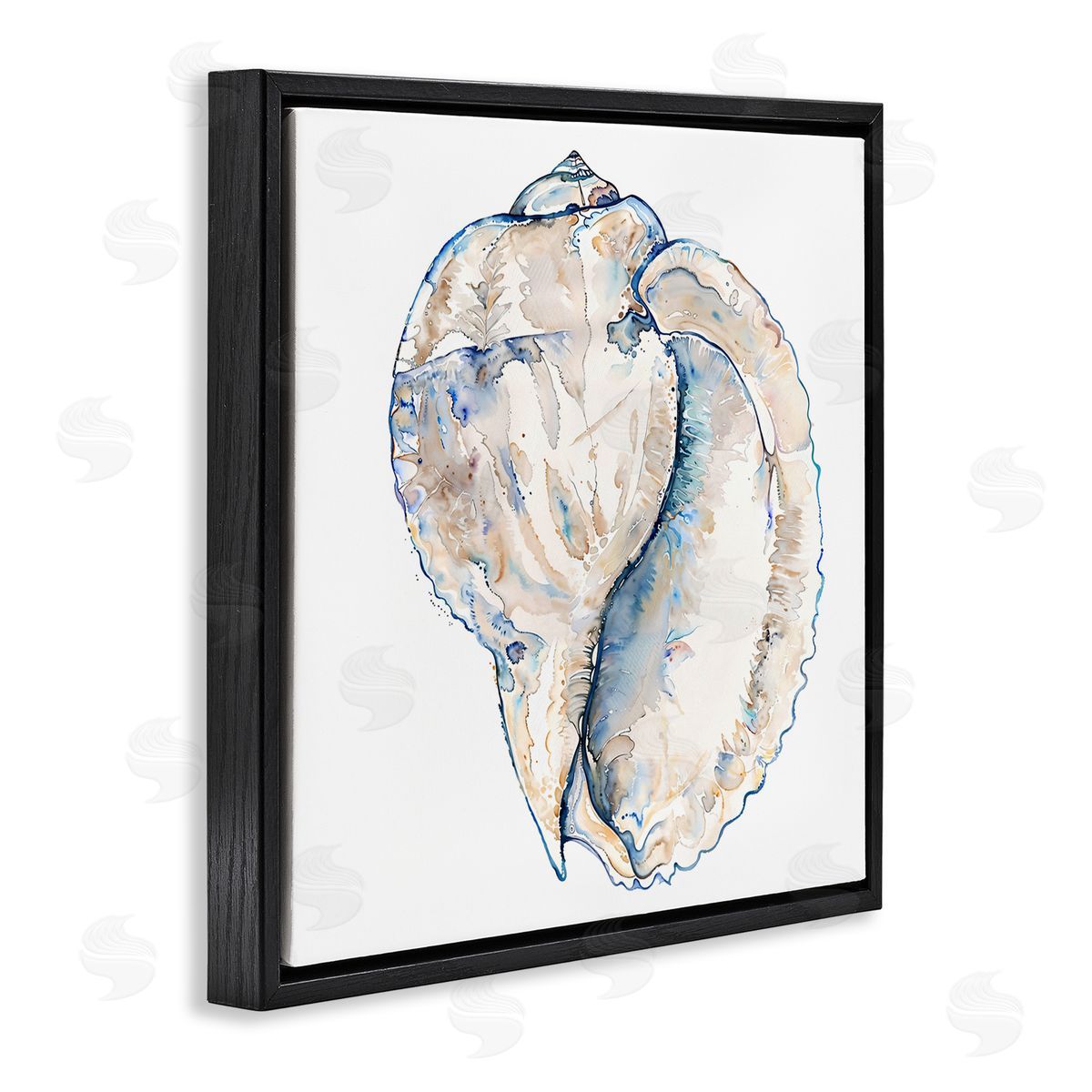 Conch Shell on White Black Floating Frame Canvas Wall Art, Home Decor by Christine Zalewski