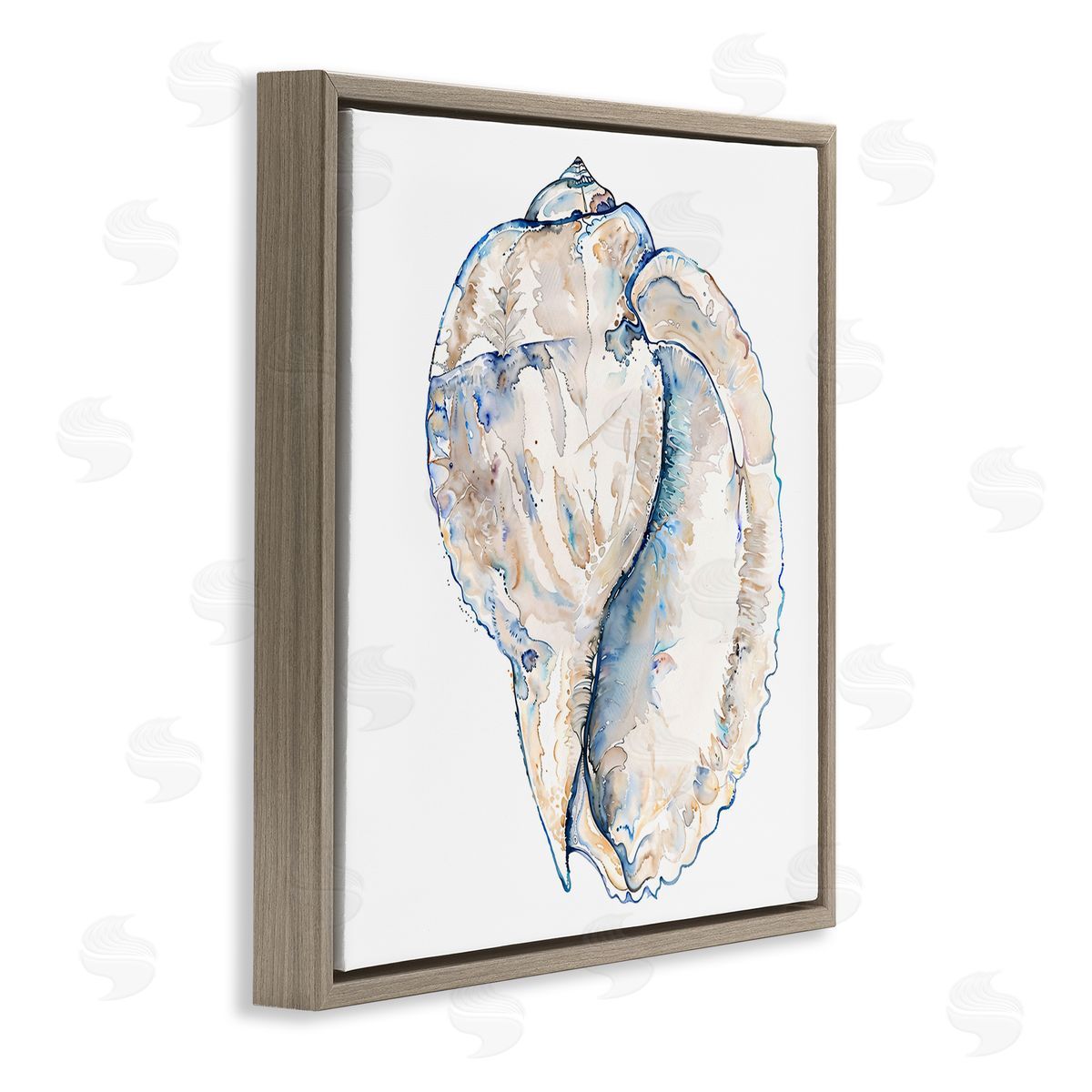 Conch Shell on White Brown Floating Frame Canvas Wall Art, Home Decor by Christine Zalewski
