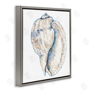 Christine Zalewski | Conch Shell on White