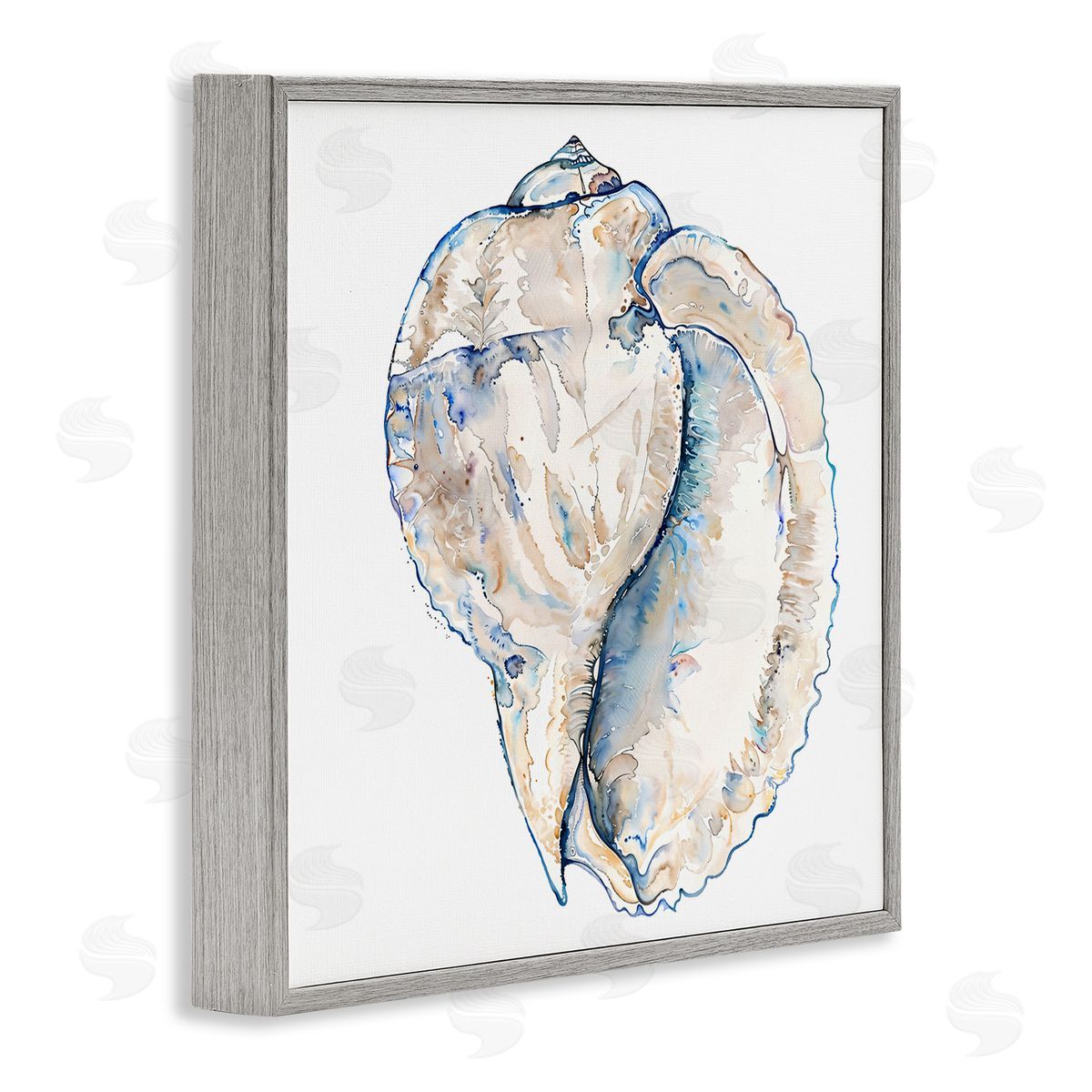 Conch Shell on White Grey Frame Print Wall Art, Home Decor by Christine Zalewski