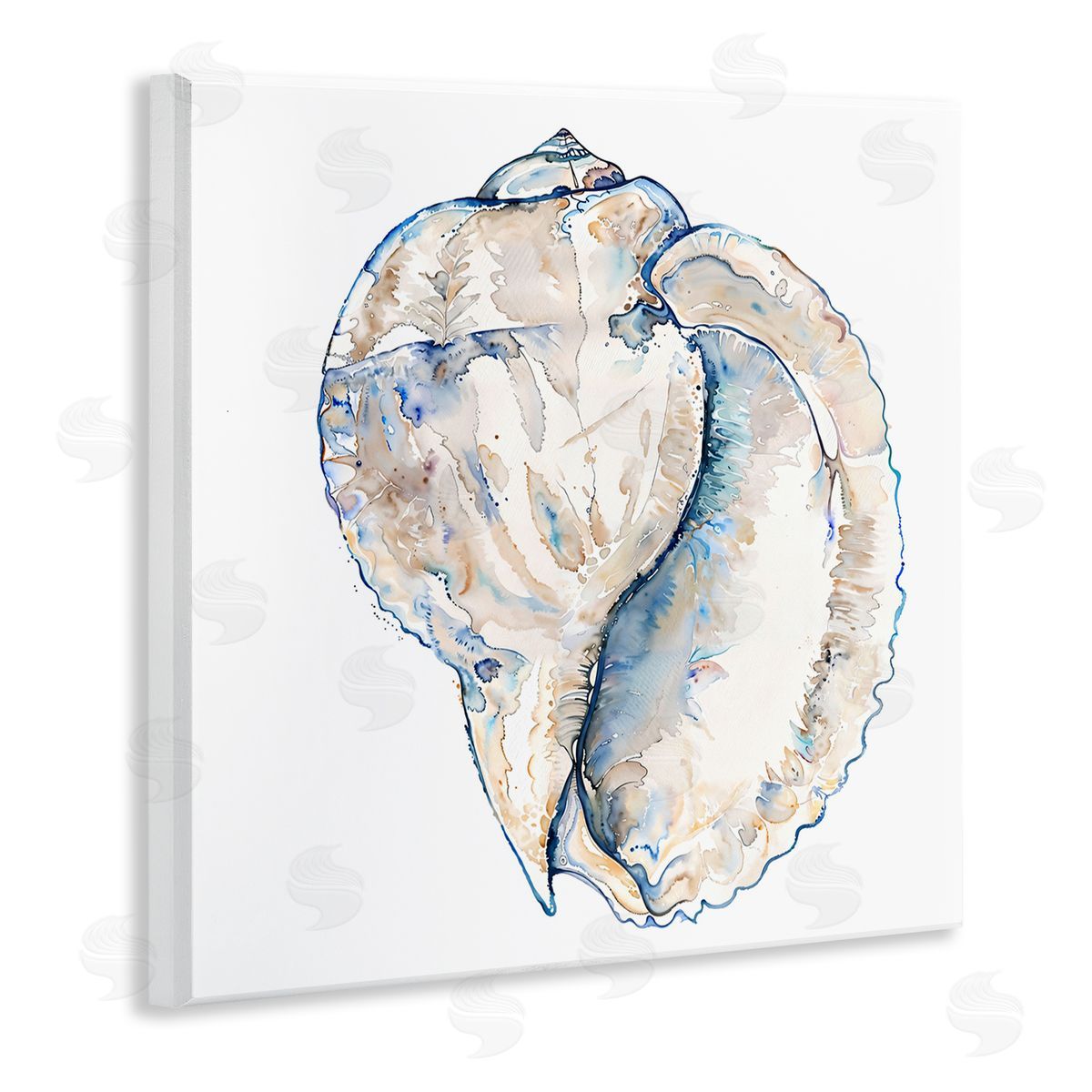 Conch Shell on White Wood Plaque Wall Art, Home Decor by Christine Zalewski