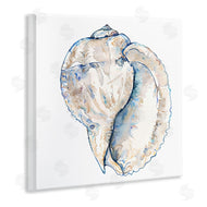 Christine Zalewski | Conch Shell on White