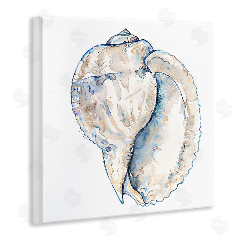 Christine Zalewski | Conch Shell on White
